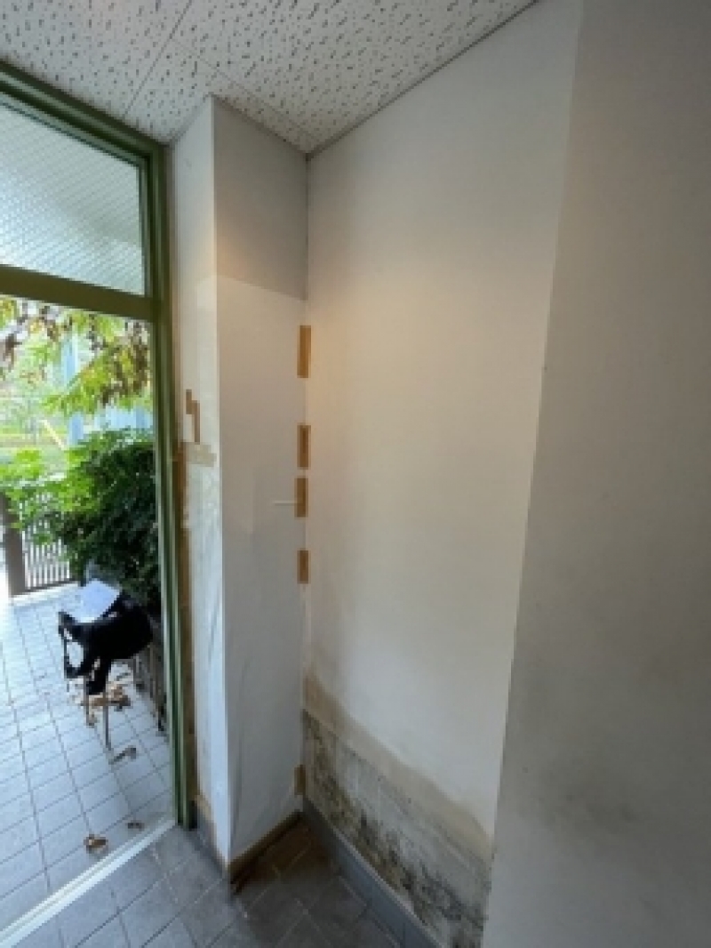 【Before】